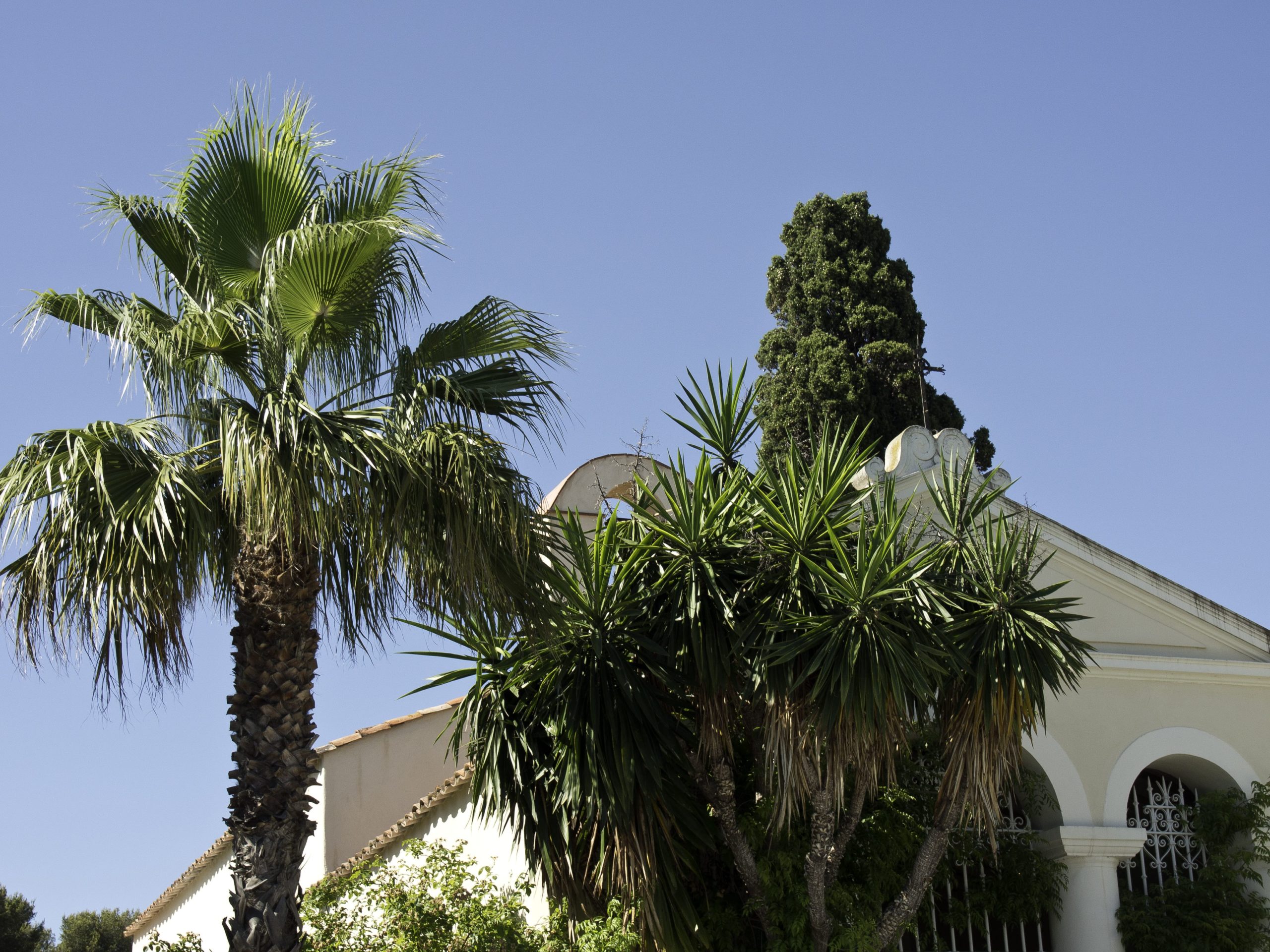 Fibra óptica Benicasim